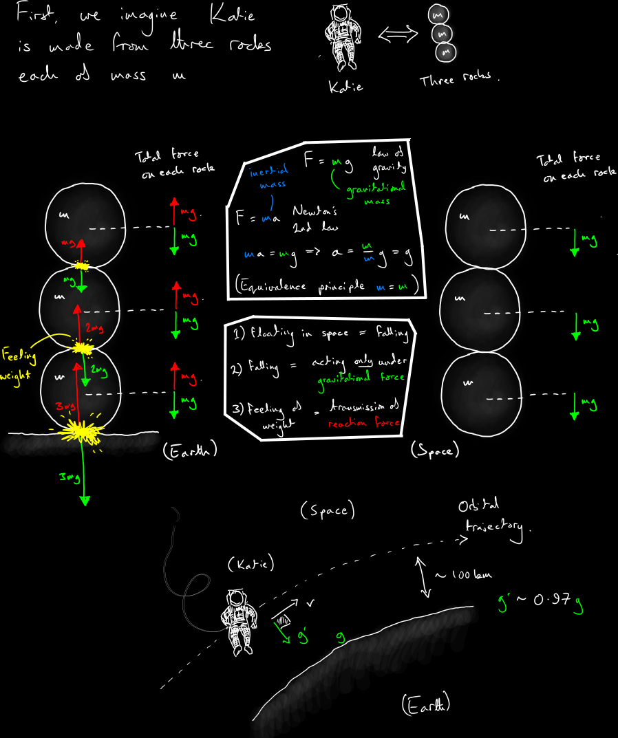 Gravity concept illustration for physics education outreach showing gravitational force principles and orbital mechanics